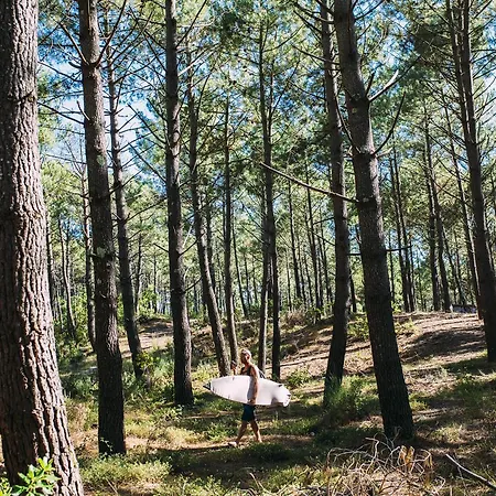 Single Fin & Hotel Mimizan