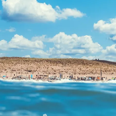 Hotel Single Fin &