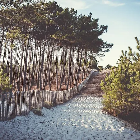 Single Fin & Mimizan-Plage