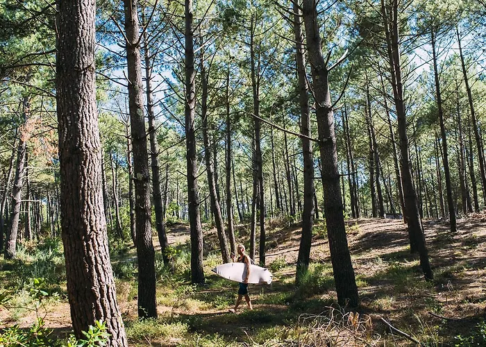 Single Fin & Hotel Mimizan-Plage