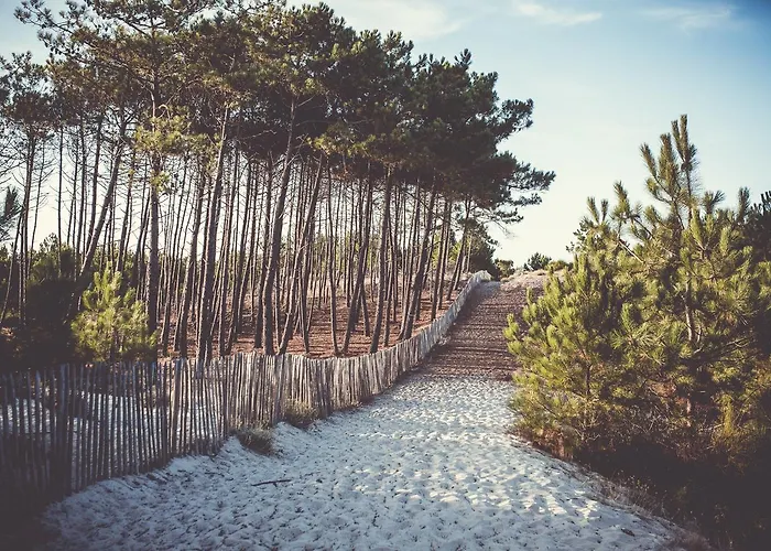 Single Fin & Mimizan-Plage