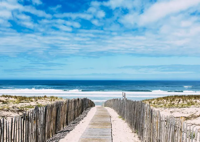 Single Fin & Hotel Mimizan-Plage