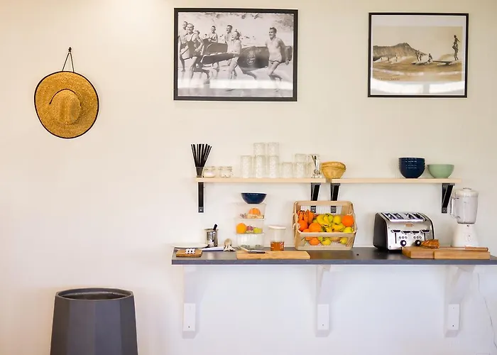 Single Fin & Mimizan-Plage