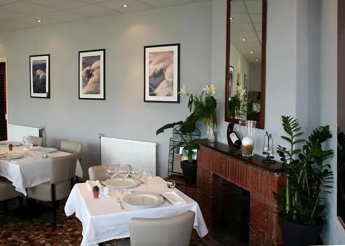 Single Fin & Mimizan-Plage